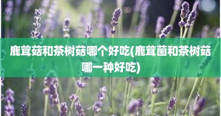鹿茸菇和茶树菇哪个好吃(鹿茸菌和茶树菇哪一种好吃)