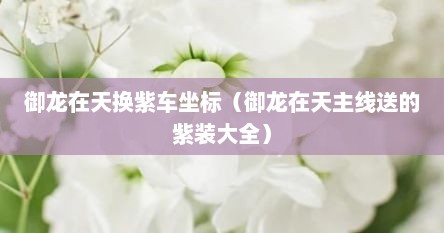 御龙在天换紫车坐标（御龙在天主线送的紫装大全）