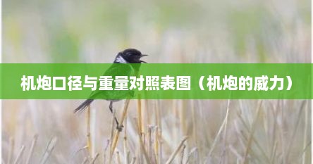 机炮口径与重量对照表图（机炮的威力）