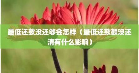 最低还款没还够会怎样（最低还款额没还清有什么影响）