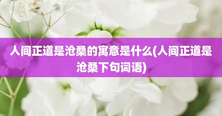 人间正道是沧桑的寓意是什么(人间正道是沧桑下句词语)