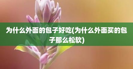 为什么外面的包子好吃(为什么外面买的包子那么松软)
