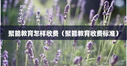 聚能教育怎样收费（聚能教育收费标准）