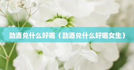 劲酒兑什么好喝（劲酒兑什么好喝女生）