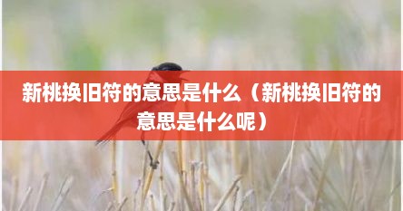 新桃换旧符的意思是什么（新桃换旧符的意思是什么呢）
