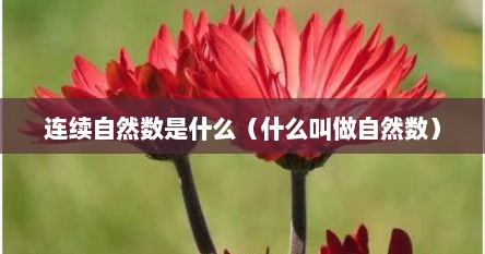 连续自然数是什么（什么叫做自然数）