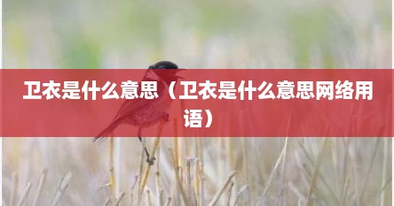 卫衣是什么意思（卫衣是什么意思网络用语）