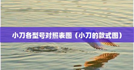 小刀各型号对照表图（小刀的款式图）