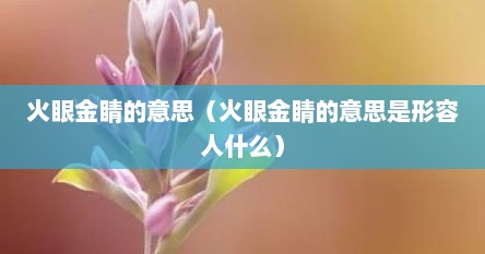 火眼金睛的意思（火眼金睛的意思是形容人什么）