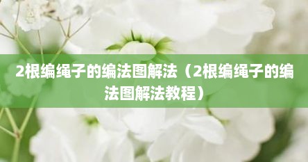 2根编绳子的编法图解法（2根编绳子的编法图解法教程）