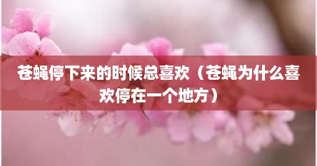 苍蝇停下来的时候总喜欢（苍蝇为什么喜欢停在一个地方）