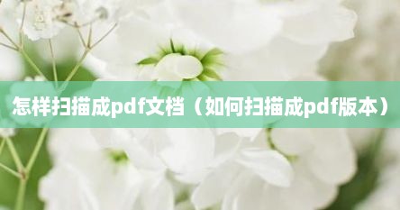 怎样扫描成pdf文档（如何扫描成pdf版本）