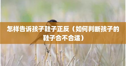 怎样告诉孩子鞋子正反（如何判断孩子的鞋子合不合适）