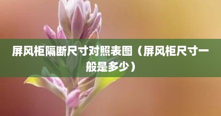 屏风柜隔断尺寸对照表图（屏风柜尺寸一般是多少）