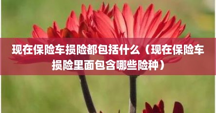 现在保险车损险都包括什么（现在保险车损险里面包含哪些险种）