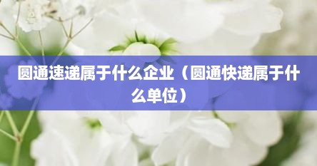 圆通速递属于什么企业（圆通快递属于什么单位）