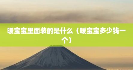 暖宝宝里面装的是什么（暖宝宝多少钱一个）