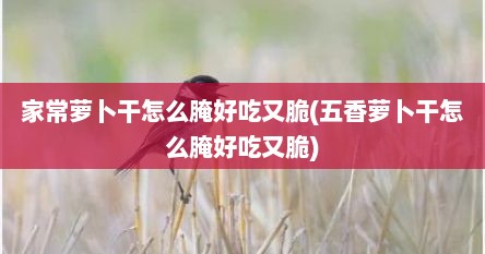 家常萝卜干怎么腌好吃又脆(五香萝卜干怎么腌好吃又脆)