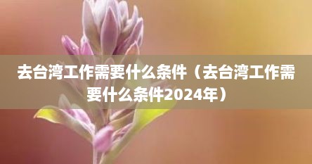 去台湾工作需要什么条件（去台湾工作需要什么条件2024年）