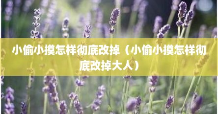 小偷小摸怎样彻底改掉（小偷小摸怎样彻底改掉大人）