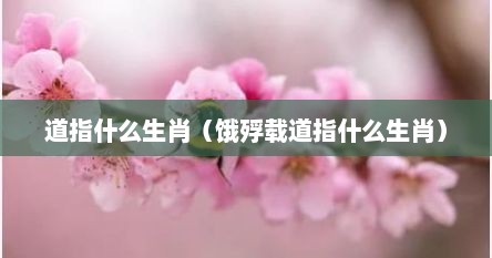 道指什么生肖（饿殍载道指什么生肖）