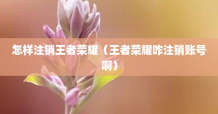 怎样注销王者荣耀（王者荣耀咋注销账号啊）