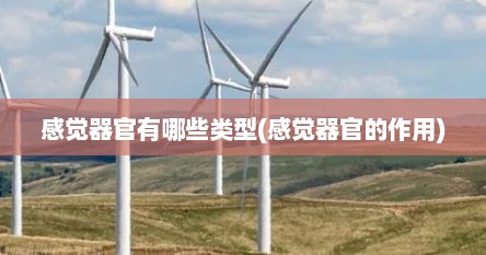 感觉器官有哪些类型(感觉器官的作用)