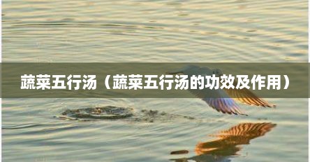 蔬菜五行汤（蔬菜五行汤的功效及作用）
