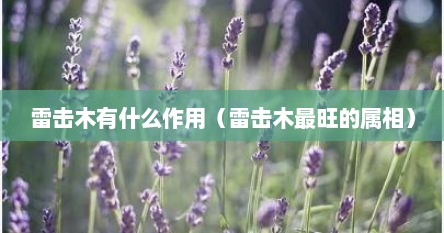 雷击木有什么作用（雷击木最旺的属相）