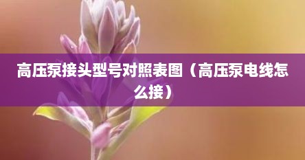 高压泵接头型号对照表图（高压泵电线怎么接）