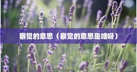 察觉的意思（察觉的意思是啥呀）