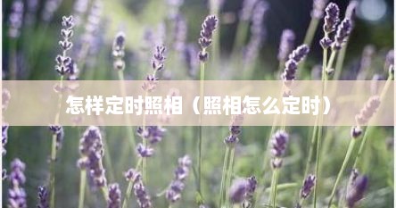 怎样定时照相（照相怎么定时）