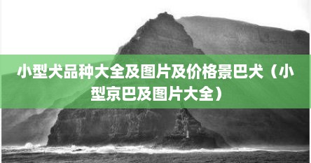 小型犬品种大全及图片及价格景巴犬（小型京巴及图片大全）