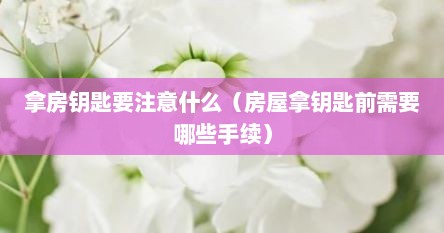 拿房钥匙要注意什么（房屋拿钥匙前需要哪些手续）
