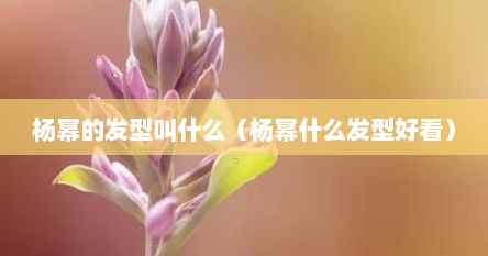 杨幂的发型叫什么（杨幂什么发型好看）