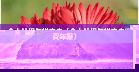 个人社保怎样查询(个人社保怎样查询缴费年限)