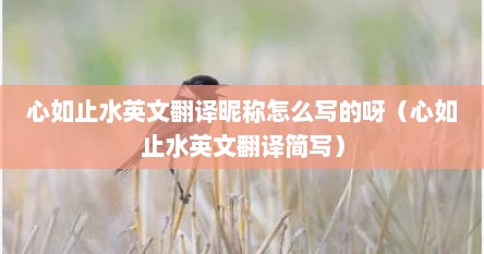 心如止水英文翻译昵称怎么写的呀（心如止水英文翻译简写）