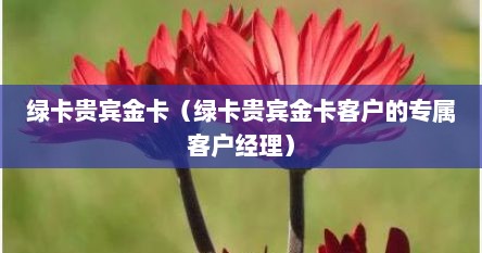 绿卡贵宾金卡（绿卡贵宾金卡客户的专属客户经理）