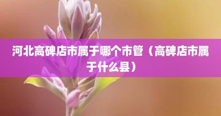 河北高碑店市属于哪个市管（高碑店市属于什么县）