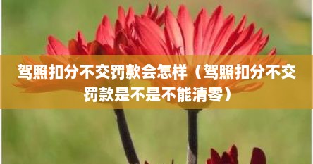 驾照扣分不交罚款会怎样（驾照扣分不交罚款是不是不能清零）