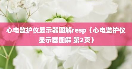 心电监护仪显示器图解resp（心电监护仪显示器图解 第2页）