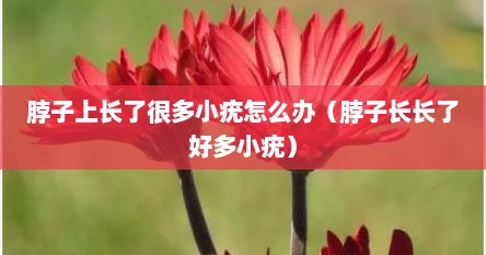 脖子上长了很多小疣怎么办（脖子长长了好多小疣）