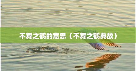 不舞之鹤的意思（不舞之鹤典故）