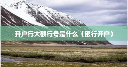 开户行大额行号是什么（银行开户）