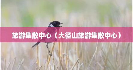 旅游集散中心（大径山旅游集散中心）