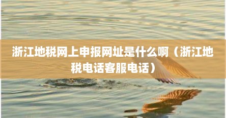 浙江地税网上申报网址是什么啊（浙江地税电话客服电话）