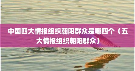 中国四大情报组织朝阳群众是哪四个（五大情报组织朝阳群众）