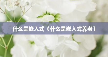 什么是嵌入式（什么是嵌入式养老）