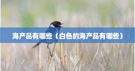 海产品有哪些（白色的海产品有哪些）