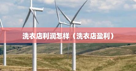 洗衣店利润怎样（洗衣店盈利）